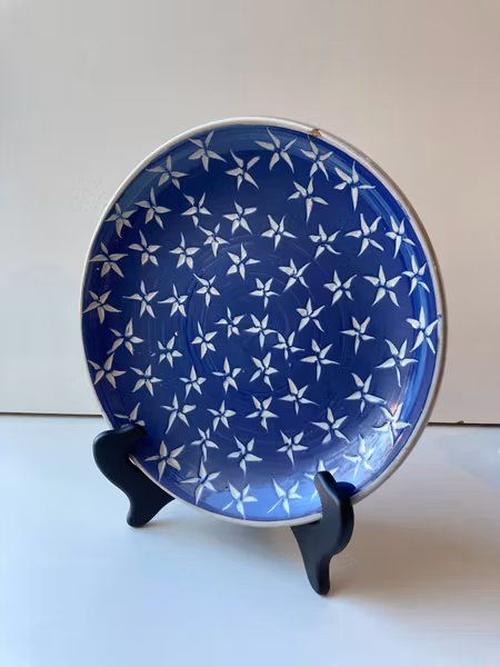 Star plate 100