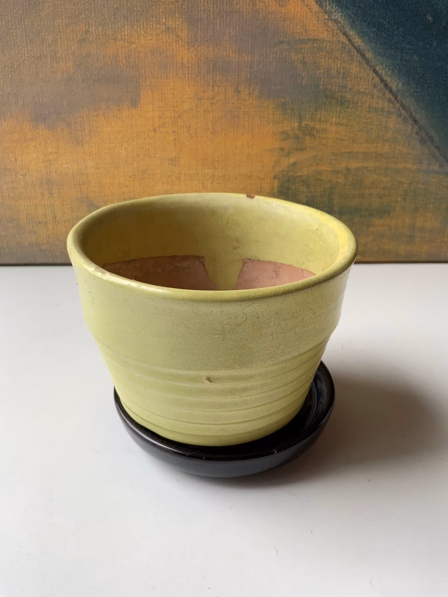 Gabriel Special yellow flower pot