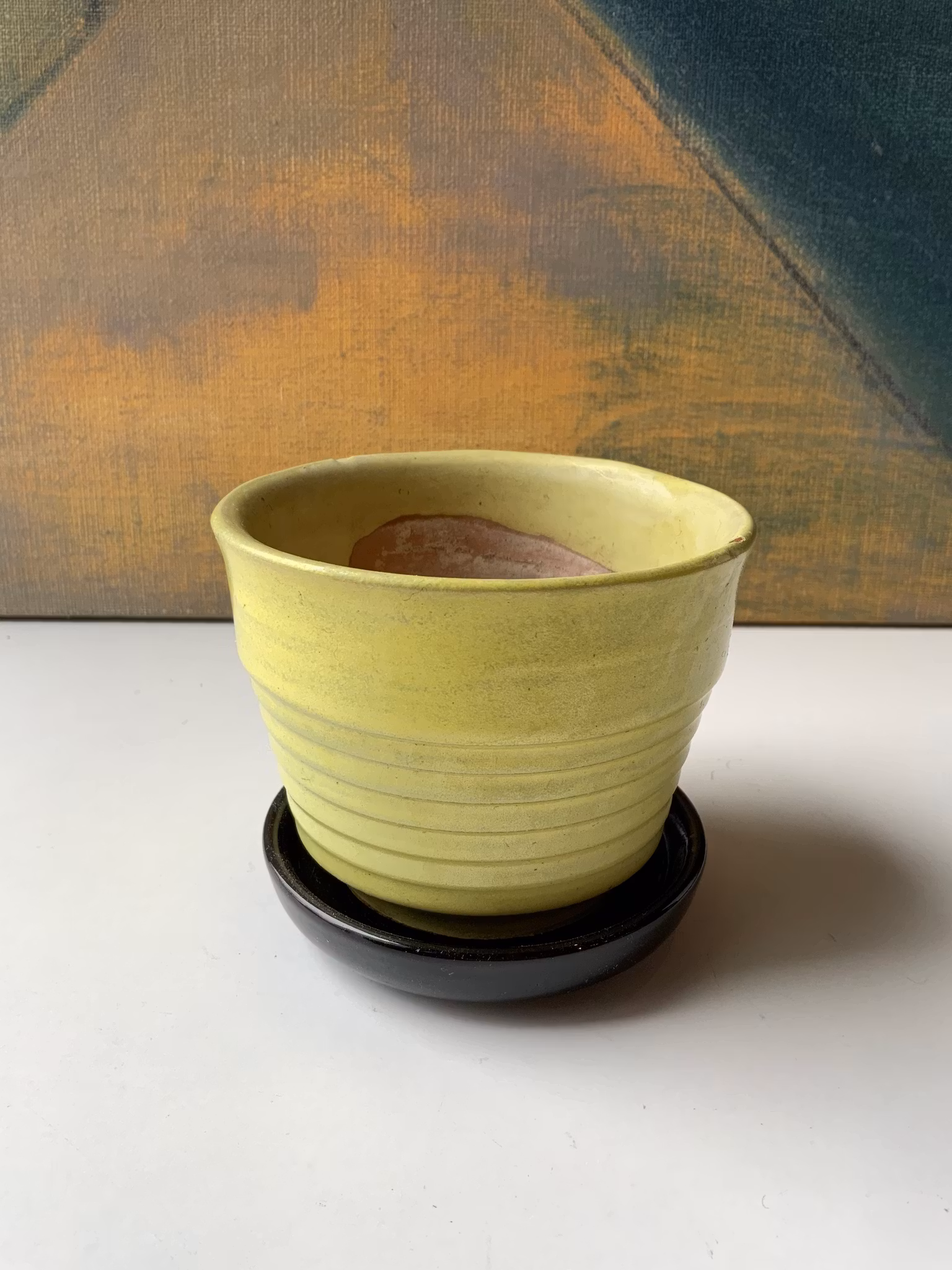 Gabriel Special yellow flower pot