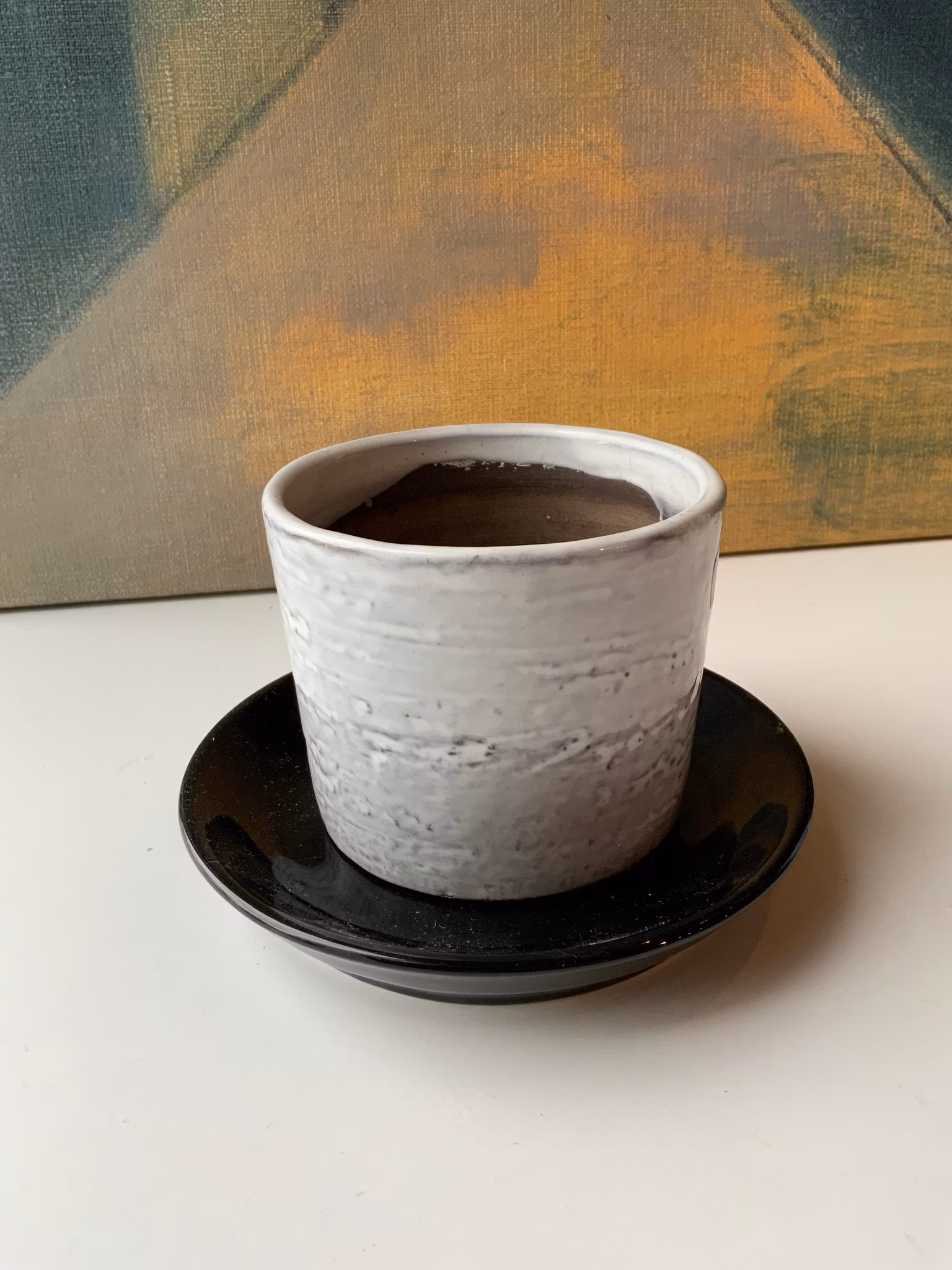 Primula flower pot 1