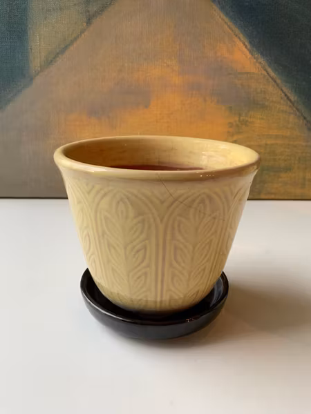 Steninge yellow  Jenny flower pot