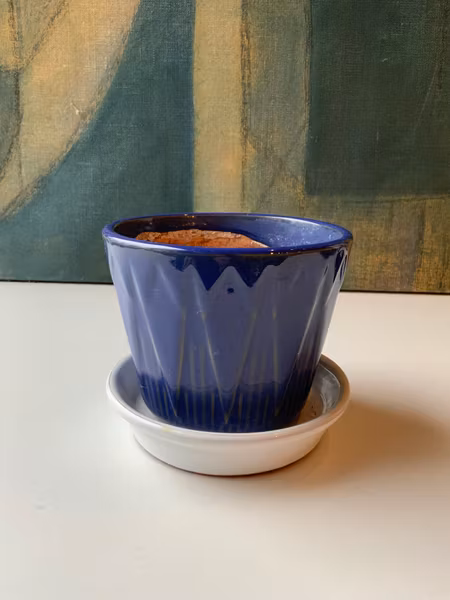 Lansett flower pot