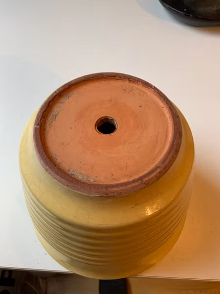 Gabriel Special flower pot