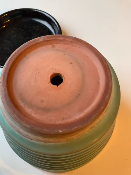 Gabriel Special 0 flower pot