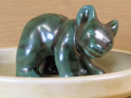 Green bear standing on dish