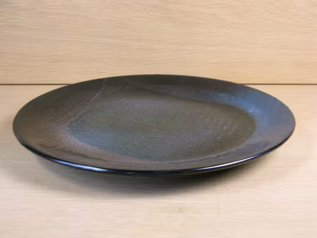 colora plate 2650