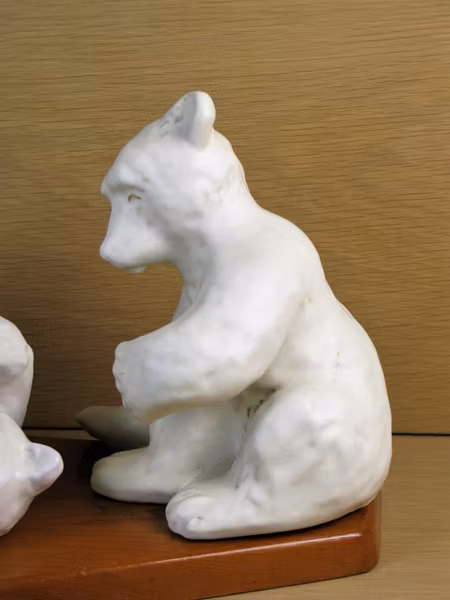 white bears 58&60 playing