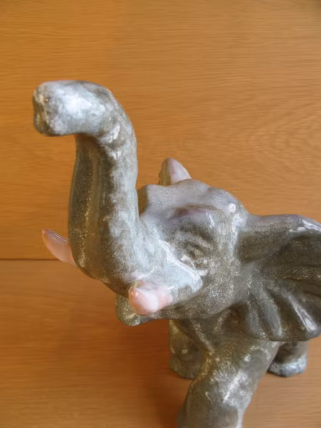 greyish elephant 101