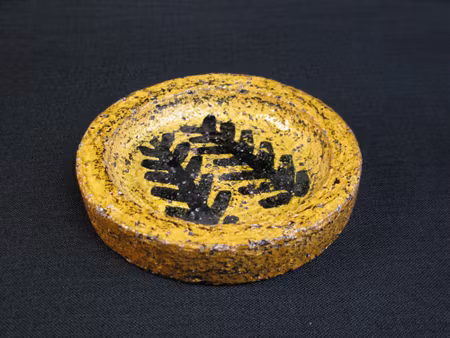 tiger plate 4397