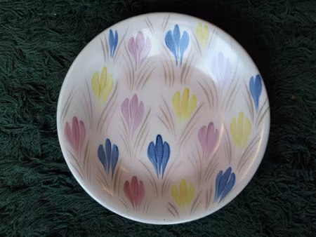 krokus plate 2