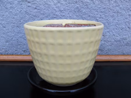 yellow gunilla flowerpot nr3 item 1