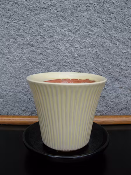 yellow freja flower pot nr 2