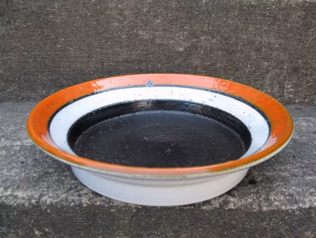 strips bowl 8061m