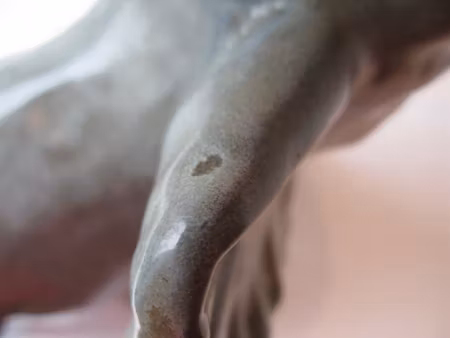 greyish elephant 102