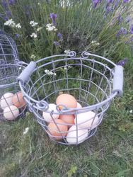 Nätkorg grå äggkorg 3 olika