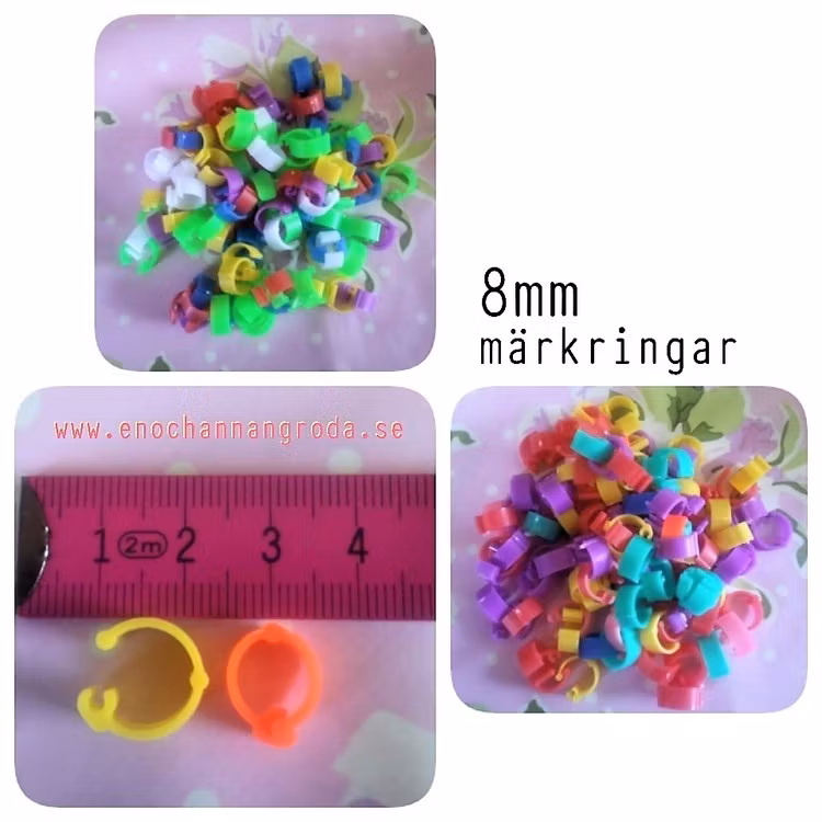 10st MÄRK-RINGAR för FÅGEL 8mm