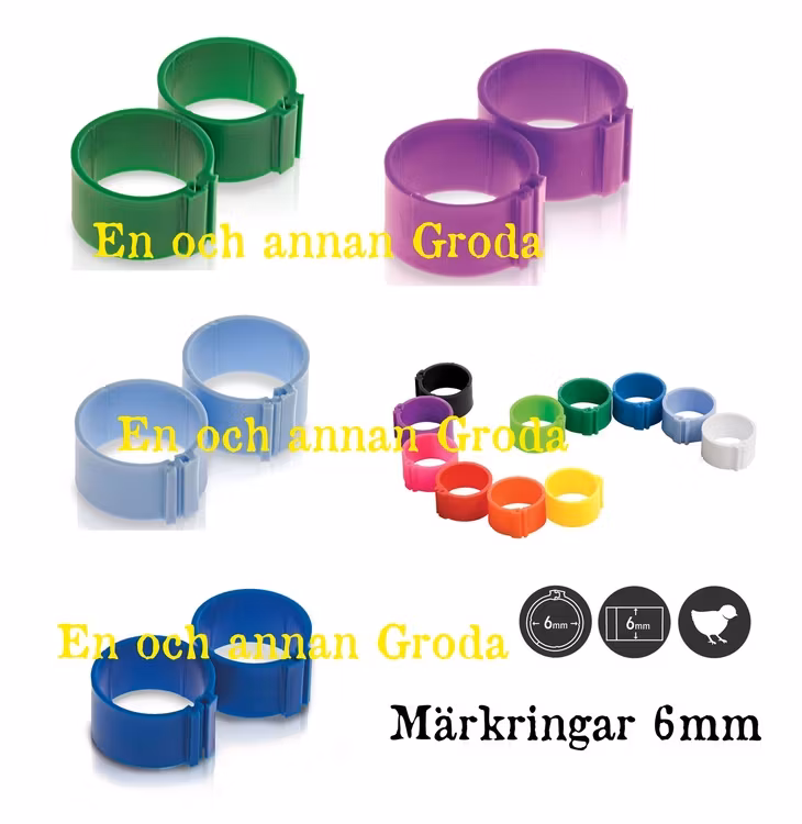 1/100st MÄRK-RINGAR för FÅGEL 6mm