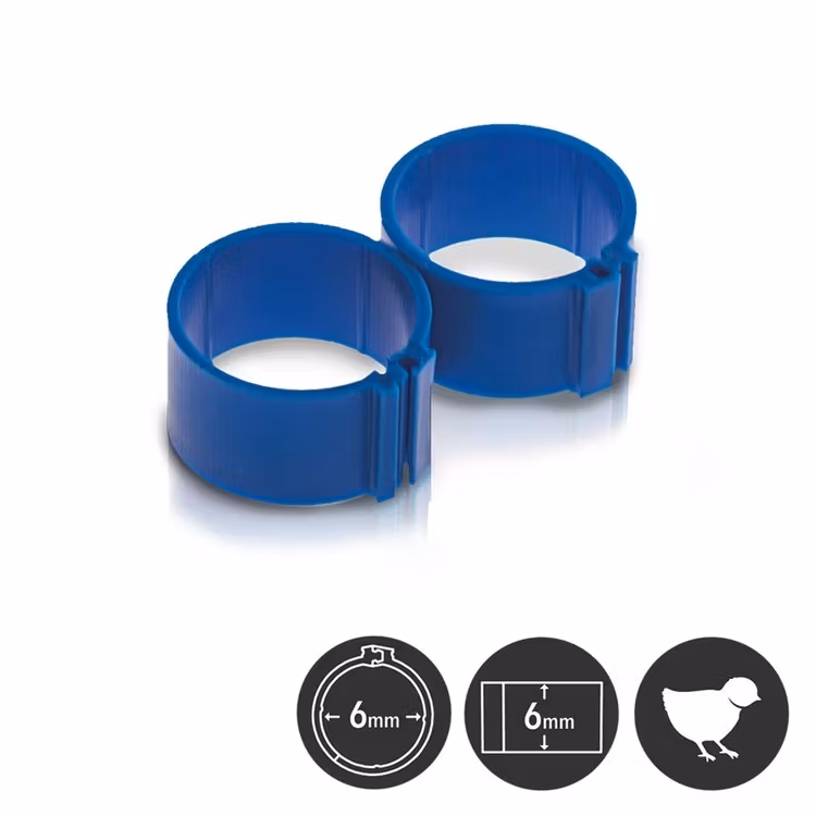 1/100st MÄRK-RINGAR för FÅGEL 6mm