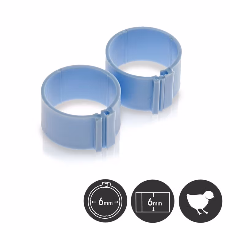 1/100st MÄRK-RINGAR för FÅGEL 6mm