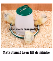 Matautomat matare Höns Vaktel Kyckling mfl