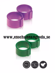 25st MÄRK-RINGAR för FÅGEL 6mm vaktel/kyckling lila el gröna