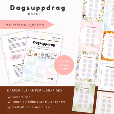 Dagsuppdrag - Baskit