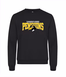 Sandefjord Penguins Genser (S2)
