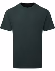 Anthem Heavyweight T-Shirt