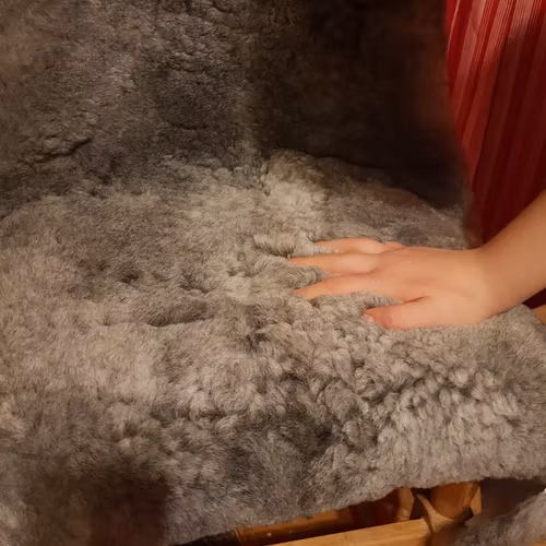 Lammfäll av rasen Gutefår grå stor