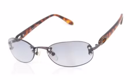 Solglasögon vänner