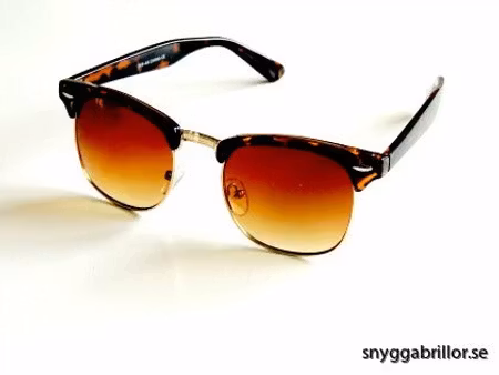 Solglas Edgar bruna