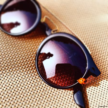 Solglasögon Viennas , 2 färger