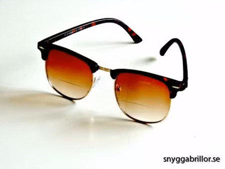 Solläsglasögon med läsruta Karlsson bruna