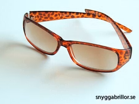 Solläsglas bredare modell bruna