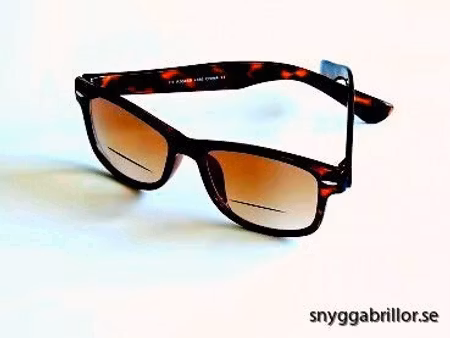 Solläs Calle med läsruta bruna +1,0