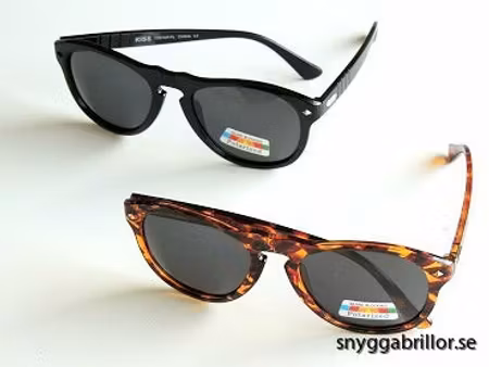 Polariserande solglas Ian