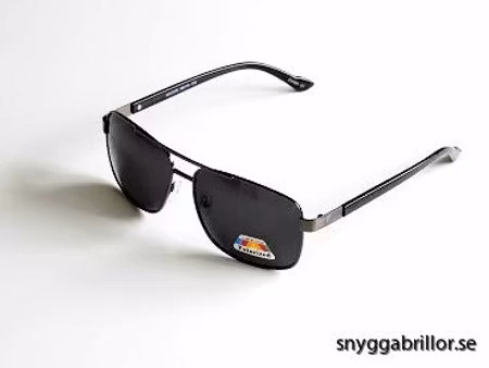 Polariserande solglas John mörk metall