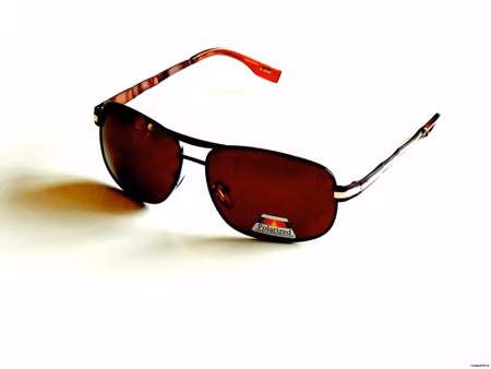 Polariserande solglas Stellan bruna