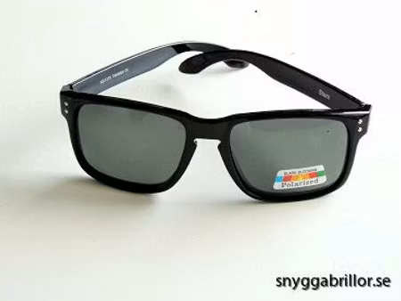 Polariserande solglas Hilding