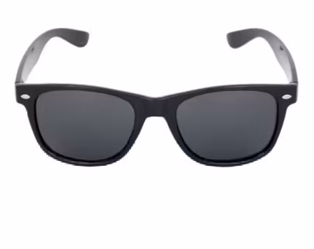 Polariserande wayfarer, finns i 2 färger