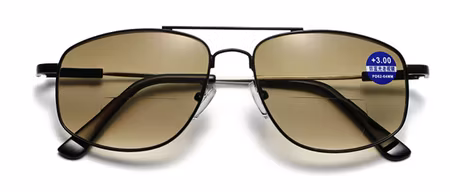 Solläsglasögon SWE med läsruta