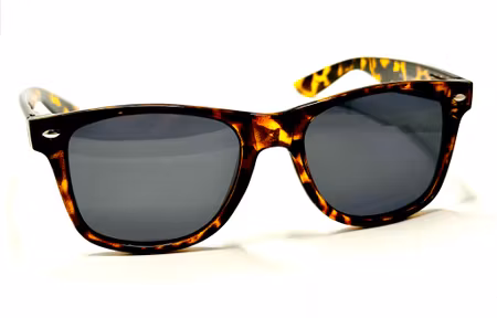 Polariserande wayfarer bruna