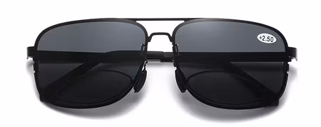 Solläsglas polariserande med läsruta nedtill