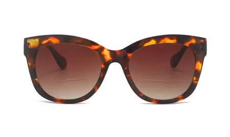 Solläs Silva brun med läsruta