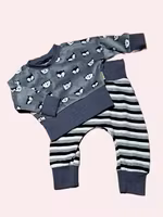 Set tröja och muddbyxa  Grå velour med katter