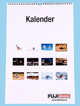 VEGGKALENDER BJØRN TEIGSETH - kr 295,-