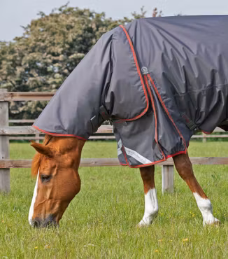 Premier Equine Buster 150g Utetäcke med hals