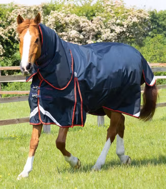 Premier Equine Buster 250g Utetäcke med hals