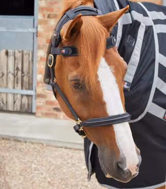 Premier Equine Magni-Teque Magnetiskt Pannband