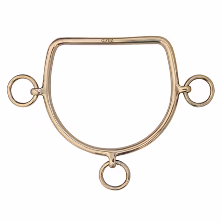 Gold Chifney Bit - Pony